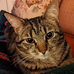 Meet your Posher, Hillary